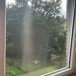 Borsteler Kuhlen