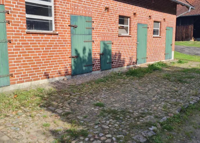 Daire Borsteler Kuhlen Bispingen